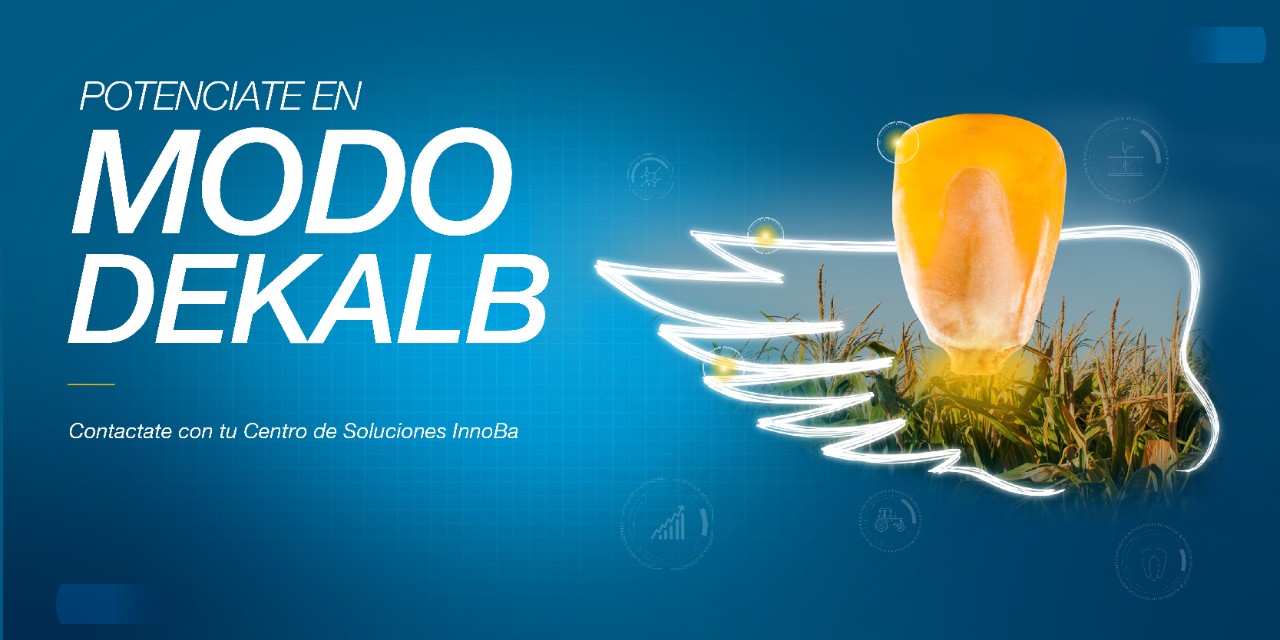 Hibridos Dekalb, potenciá tu rinde