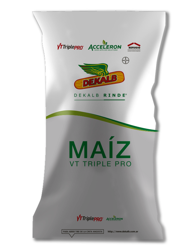 Híbrido DEKALB para zona templada DK 7272