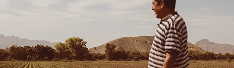ultimate noticias header
