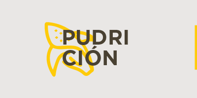 Pudrición