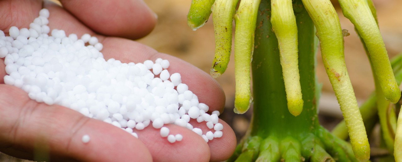 Buenas Practicas Fertilizacion
