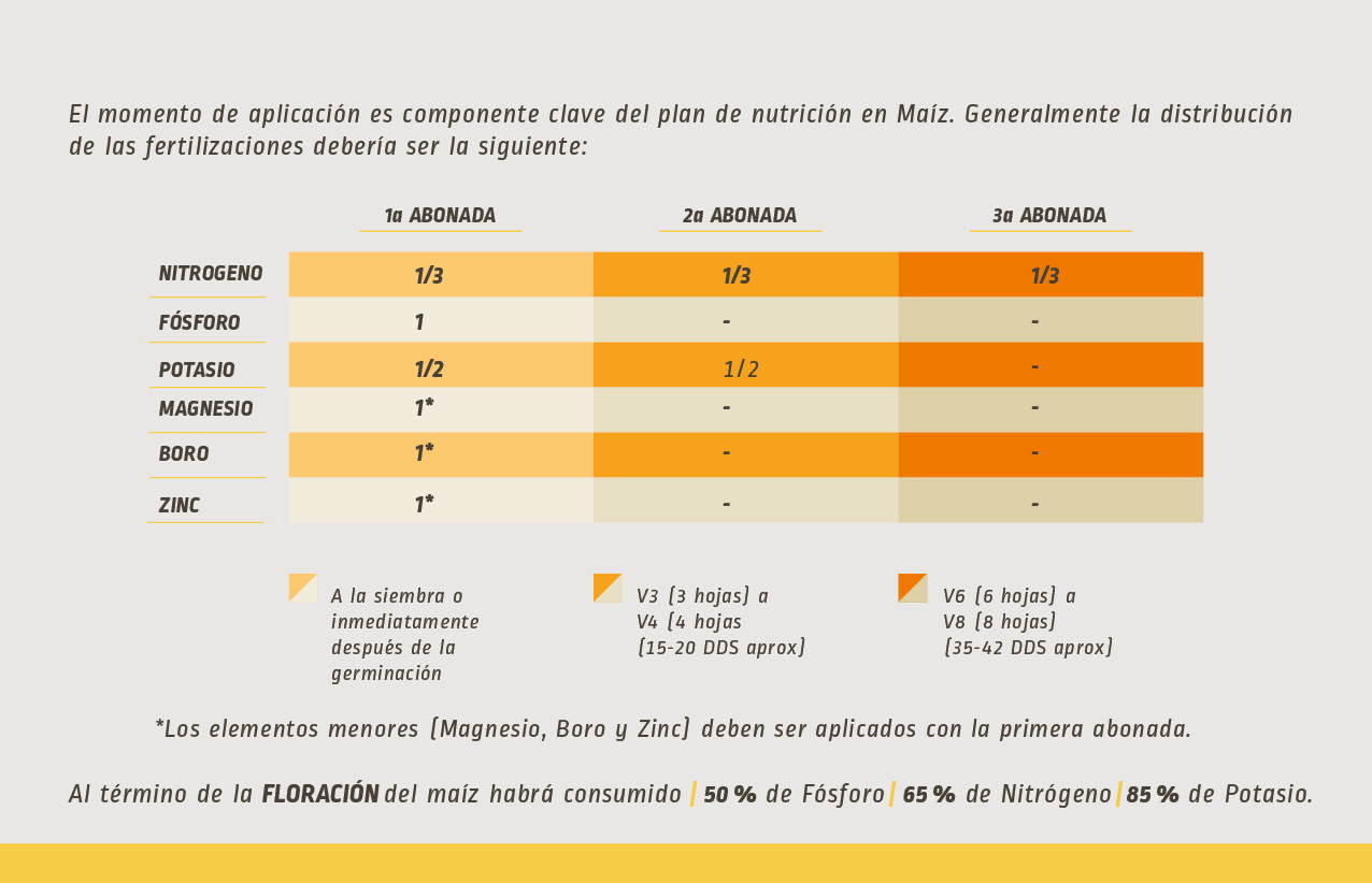 BUENAS PRÁCTICAS DE FERTILIZACIÓN - ETAPAS DE APLICACIÓN