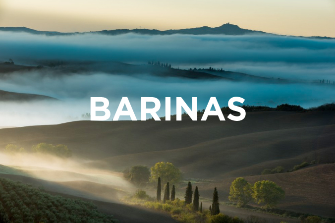 barinas